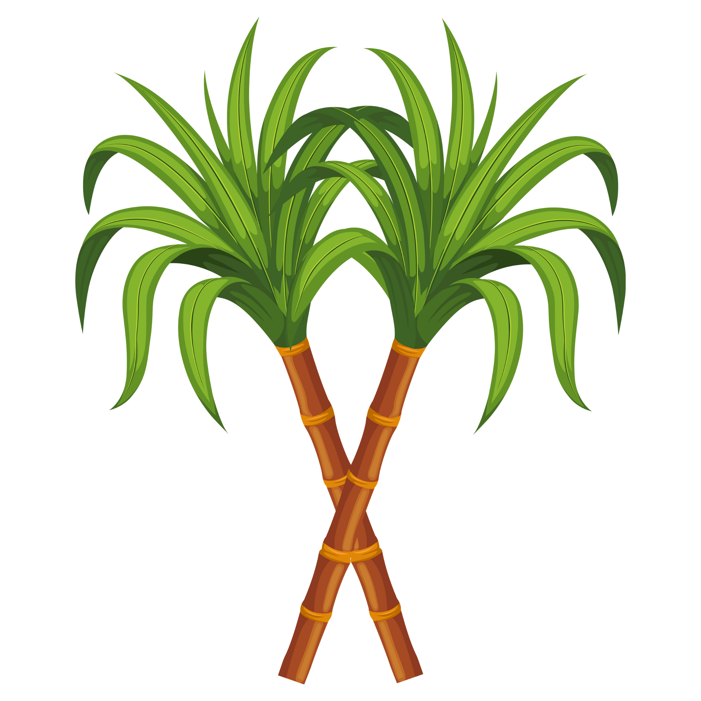 hapy pongal images for flex printings (21)